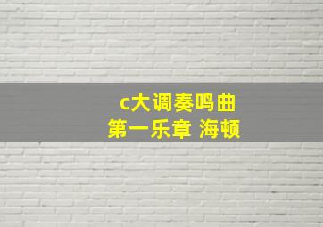 c大调奏鸣曲第一乐章 海顿